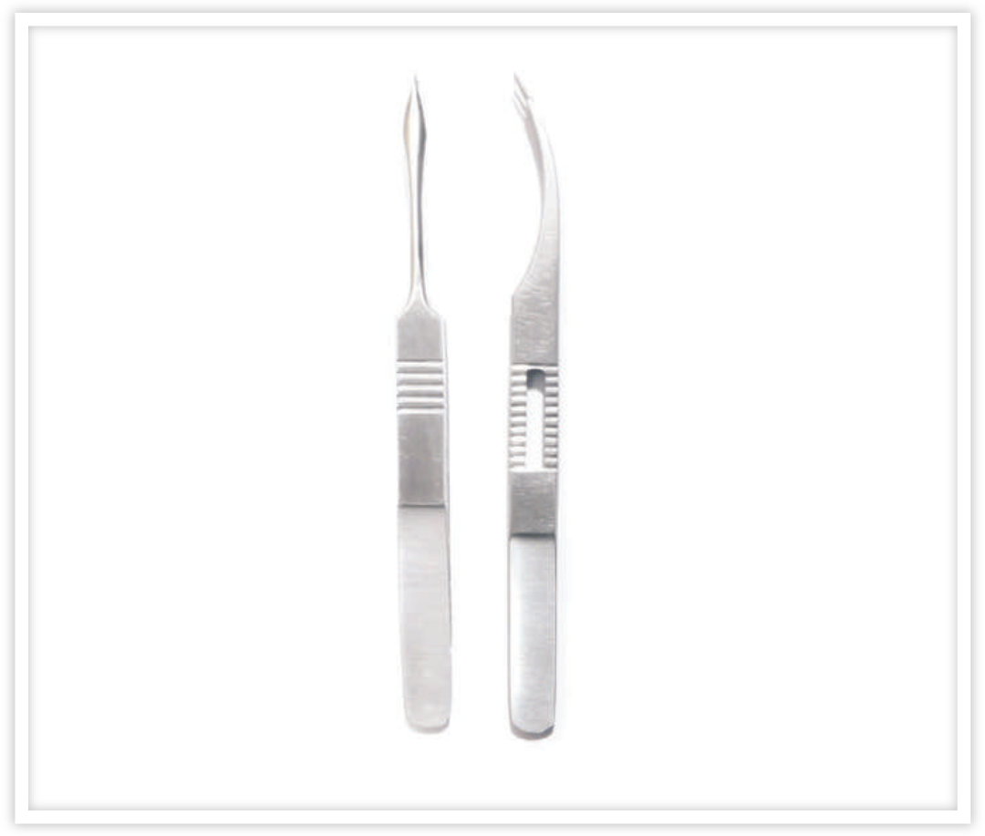 GRAFT HANDLING FORCEPS